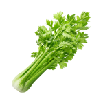 Celery