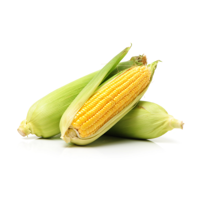 Corn