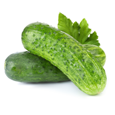 Cucumber