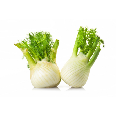 Fennel