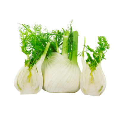 Fennel