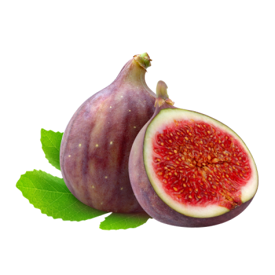 Fig