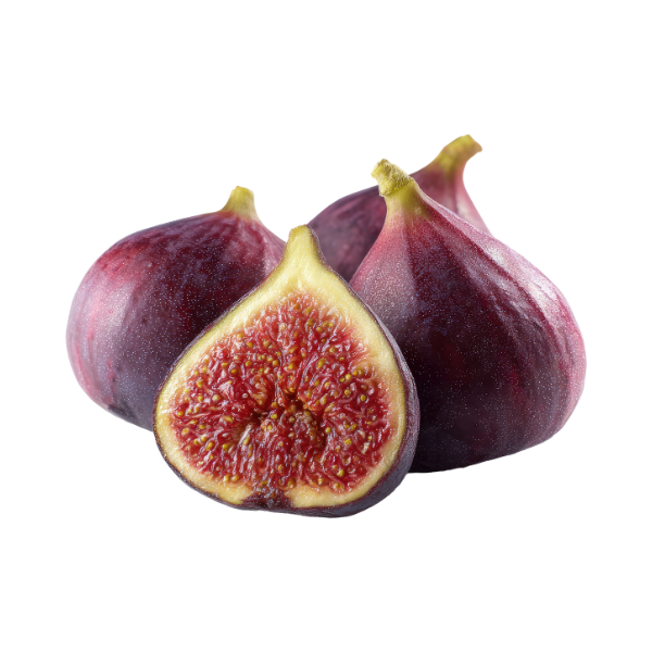 Fig