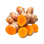 Fresh Turmeric