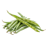 Haricots Verts