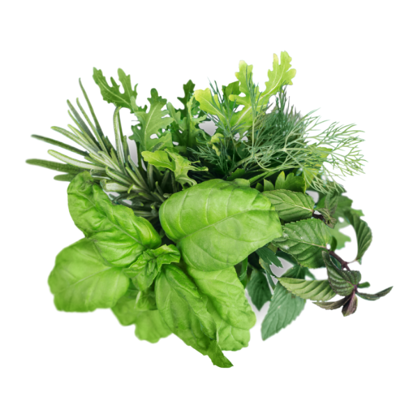 Herbs
