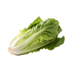Lettuce