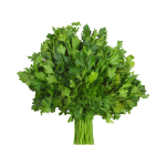 Parsley