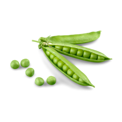 Pea
