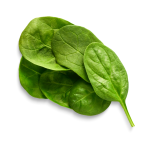 Spinach